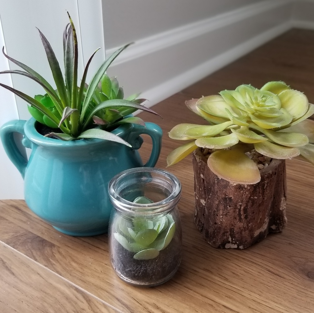 Faux Succulents SET OF 3